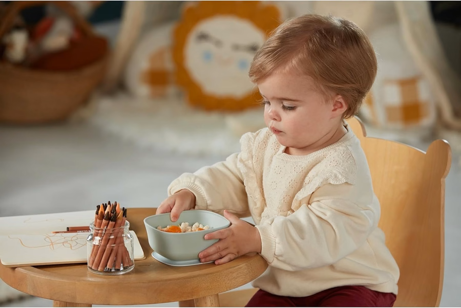 NUK for Nature Suction Bowl and Lid, Leak-Proof Lid, Microwave, Freezer, & Top Rack Dishwasher Safe, BPA-Free : Baby