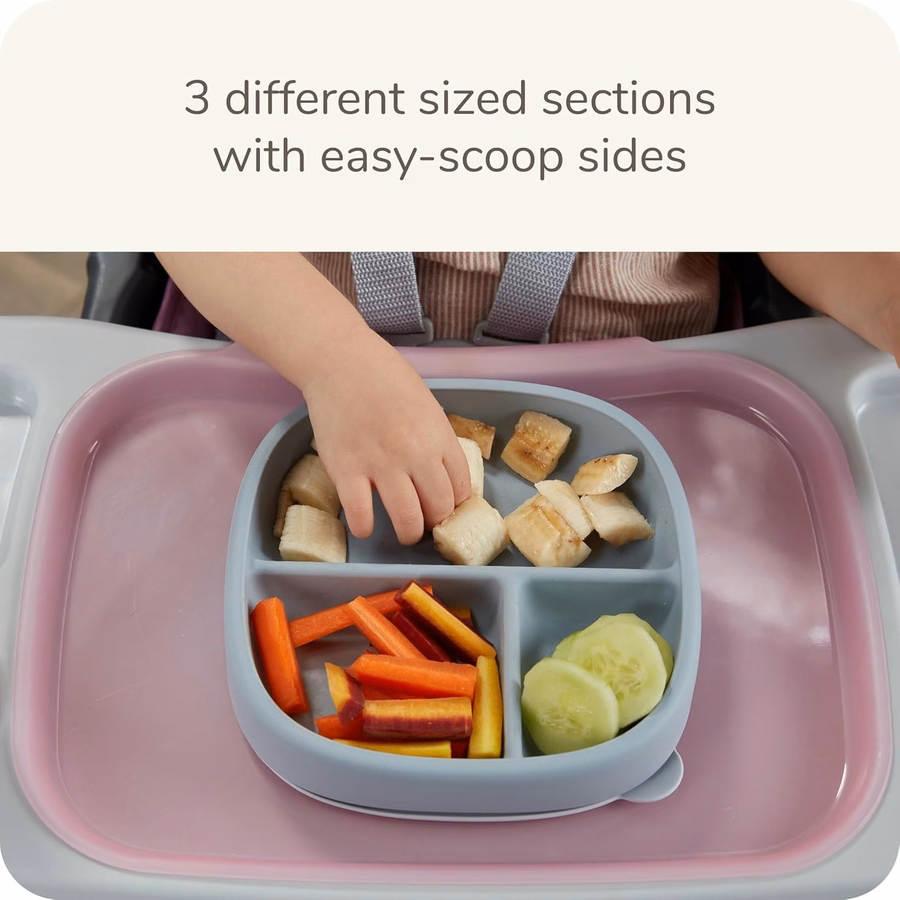 NUK for Nature Suction Plate and Lid, Leak-Proof Lid, Microwave, Freezer, & Top Rack Dishwasher Safe, BPA & Latex-Free, Pack of 1 : Baby