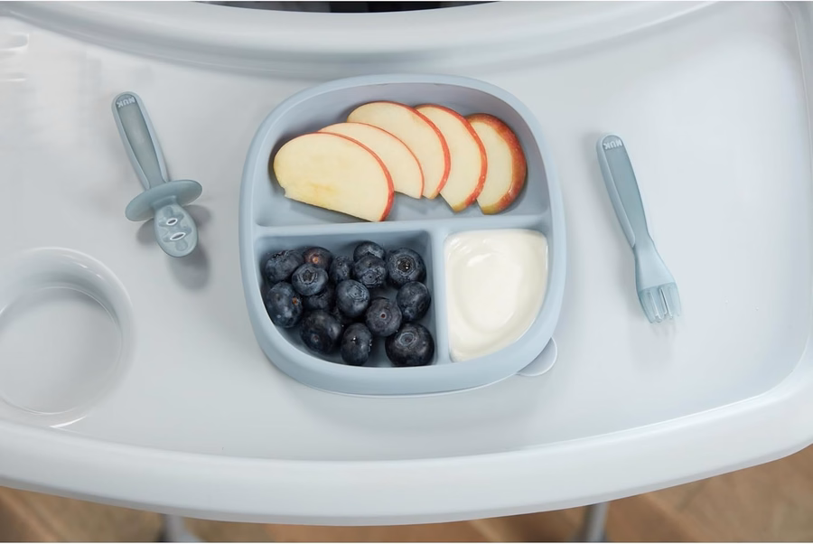 NUK for Nature Suction Plate and Lid, Leak-Proof Lid, Microwave, Freezer, & Top Rack Dishwasher Safe, BPA & Latex-Free, Pack of 1 : Baby